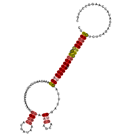 secondary structure