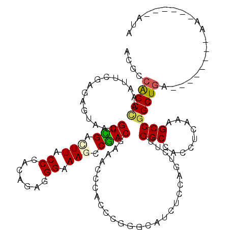 secondary structure