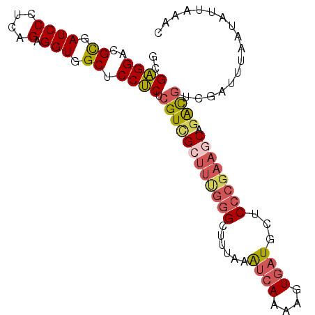 secondary structure