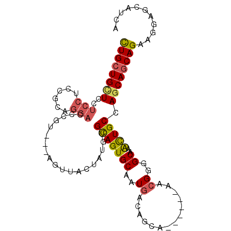 secondary structure