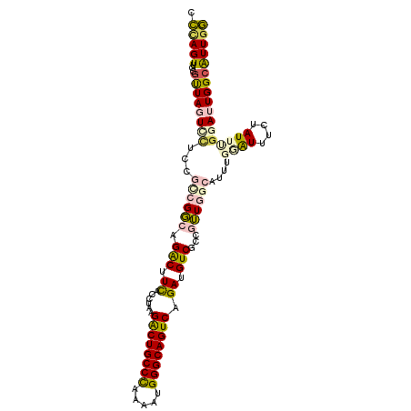 secondary structure
