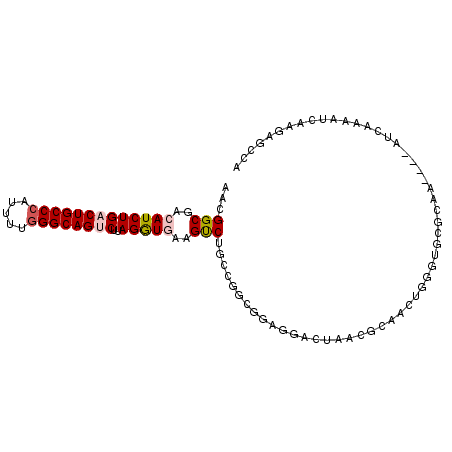 secondary structure