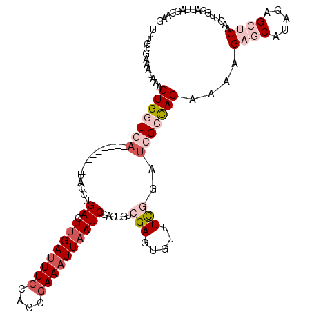 secondary structure