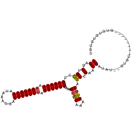 secondary structure