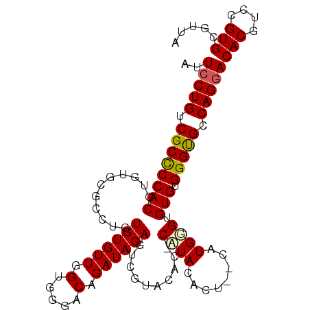 secondary structure