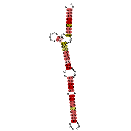 secondary structure