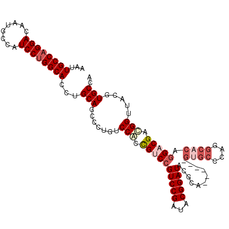 secondary structure