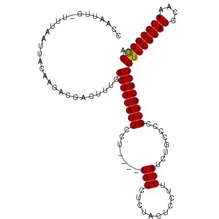 secondary structure