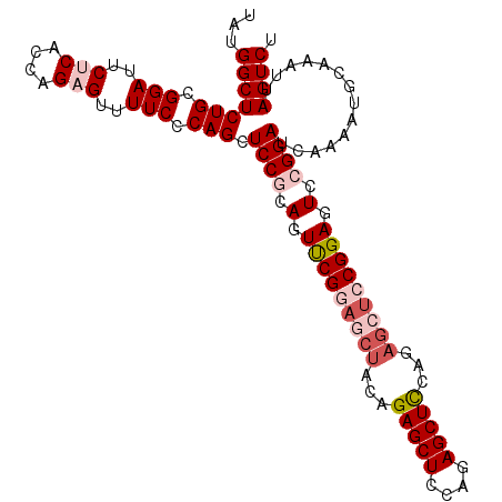 secondary structure