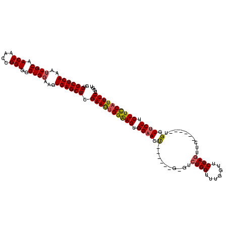secondary structure