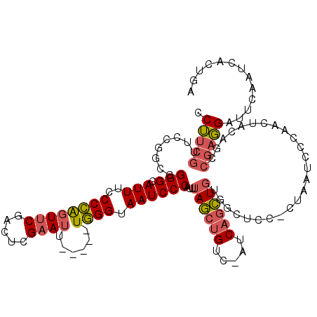 secondary structure