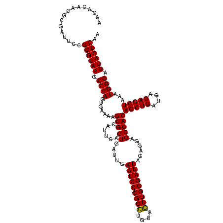 secondary structure