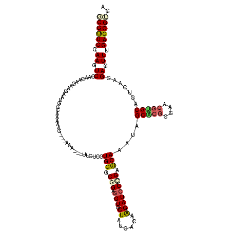 secondary structure