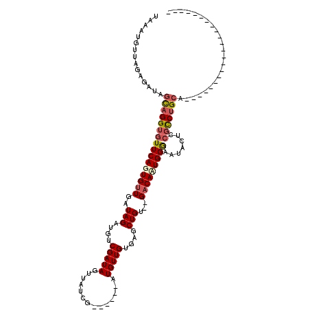 secondary structure