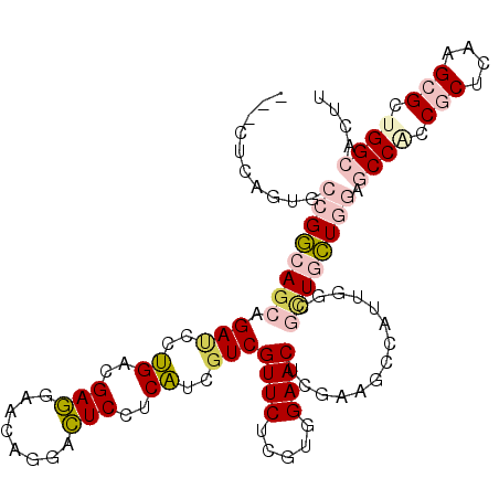 secondary structure