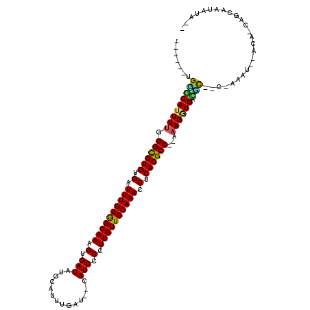 secondary structure