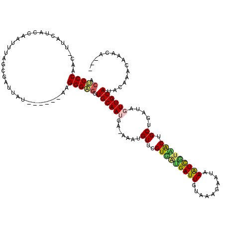 secondary structure