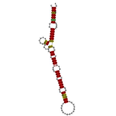 secondary structure