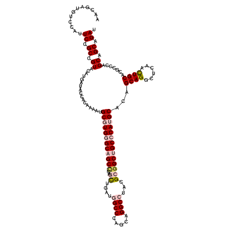 secondary structure