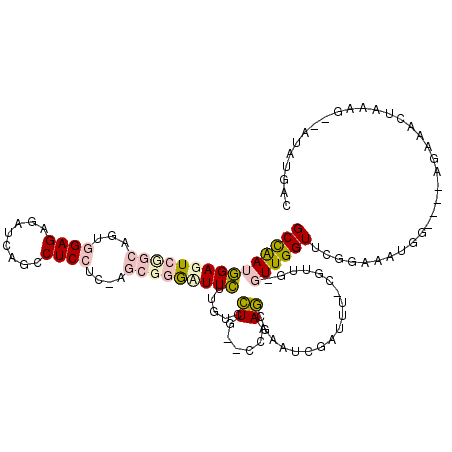 secondary structure