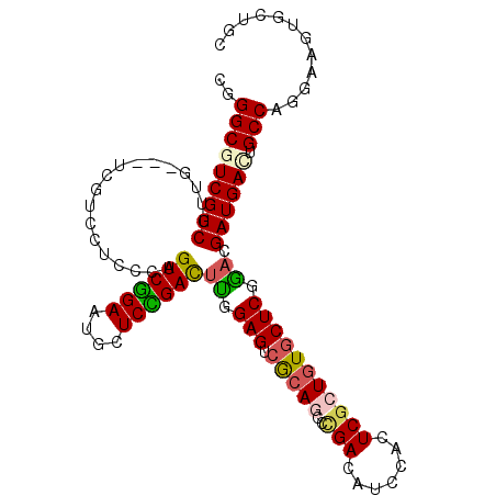 secondary structure