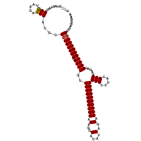 secondary structure