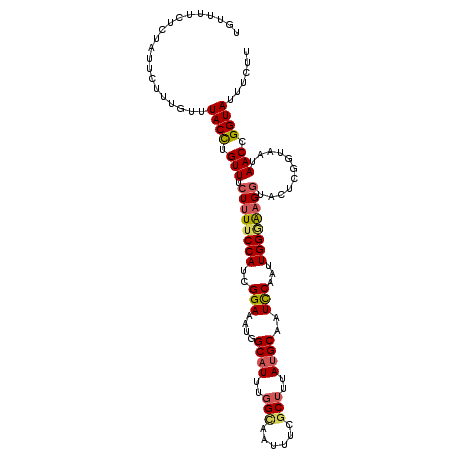 secondary structure