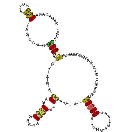 secondary structure