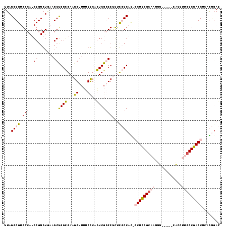 dotplot