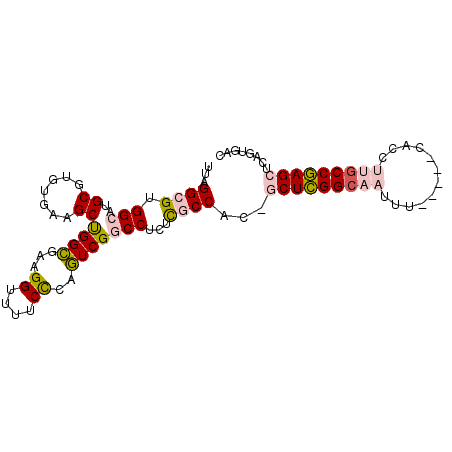 secondary structure