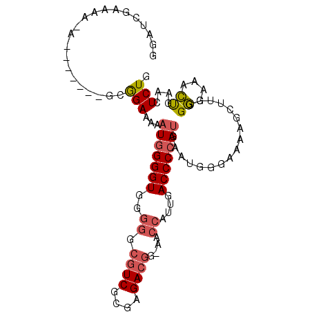 secondary structure