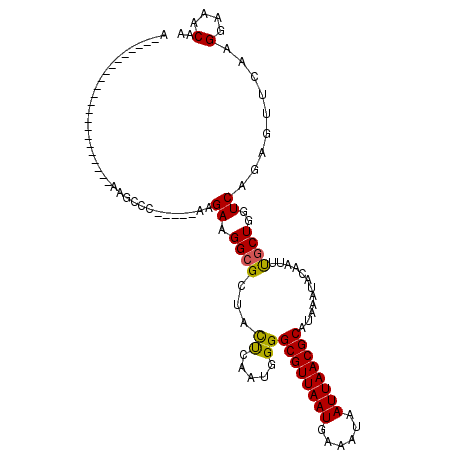 secondary structure