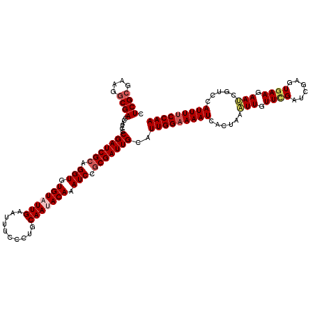 secondary structure