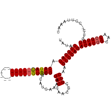 secondary structure