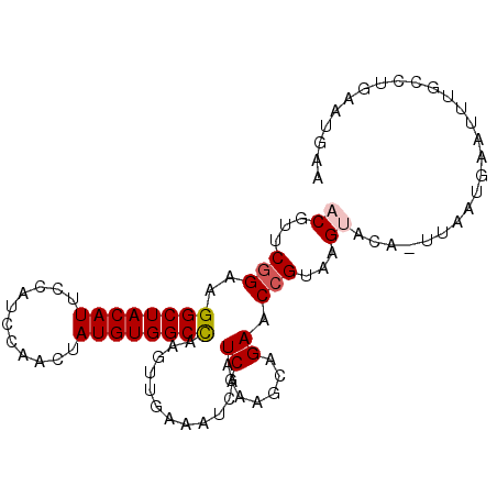 secondary structure