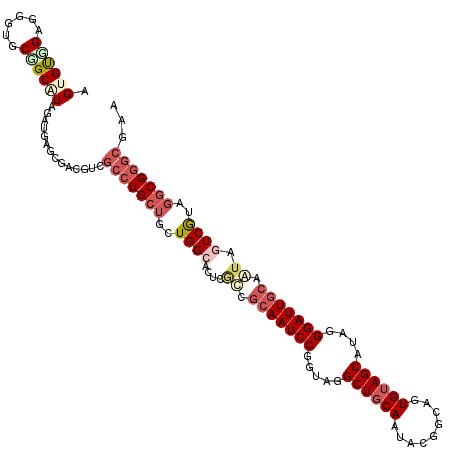 secondary structure
