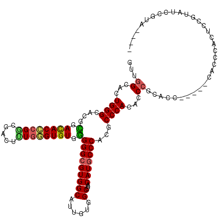 secondary structure
