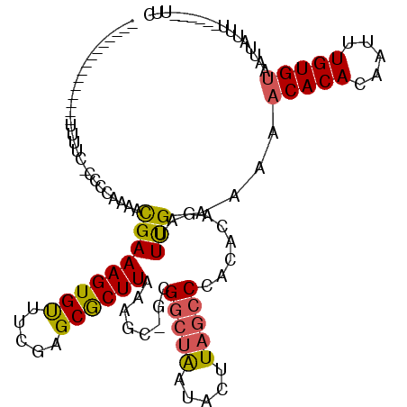 secondary structure