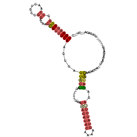 secondary structure