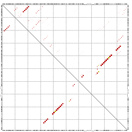 dotplot