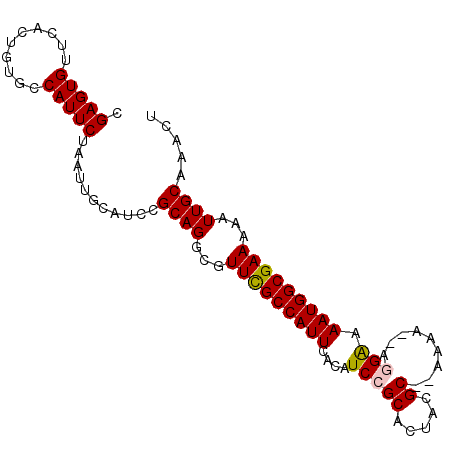 secondary structure