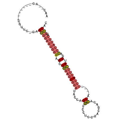 secondary structure