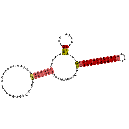 secondary structure