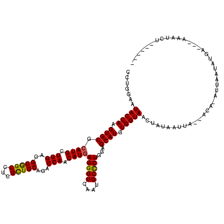 secondary structure