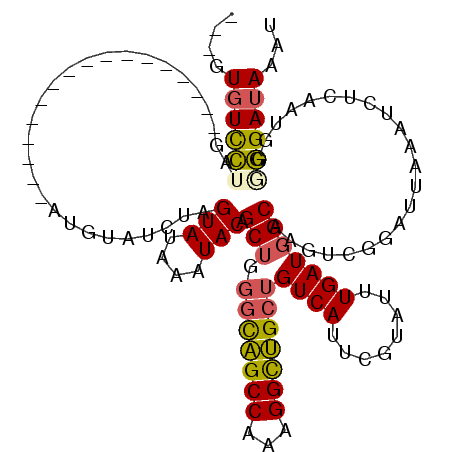 secondary structure
