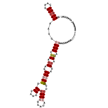 secondary structure