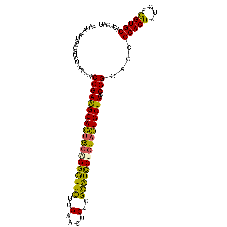 secondary structure