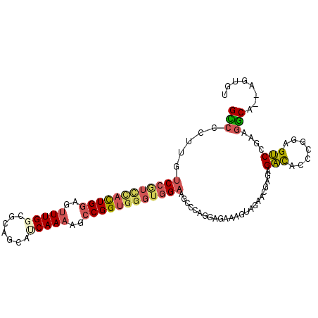 secondary structure