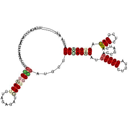 secondary structure