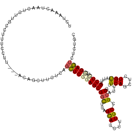 secondary structure
